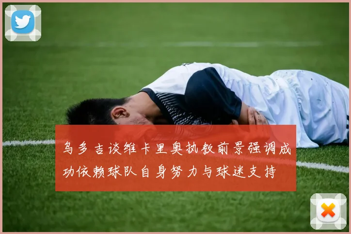 乌多吉谈维卡里奥执教前景强调成功依赖球队自身努力与球迷支持