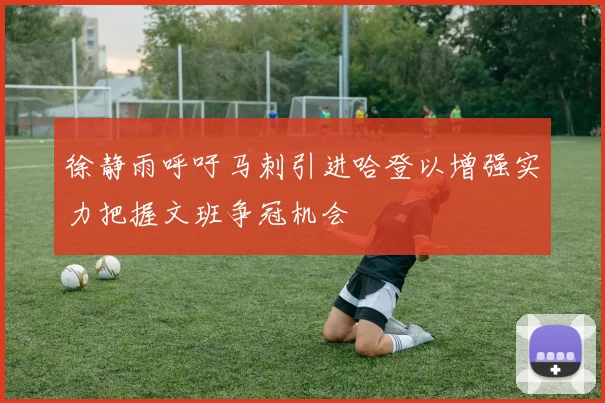 徐静雨呼吁马刺引进哈登以增强实力把握文班争冠机会