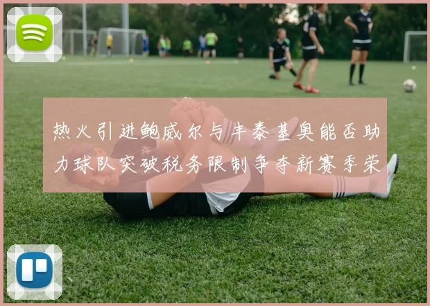 热火引进鲍威尔与丰泰基奥能否助力球队突破税务限制争夺新赛季荣誉