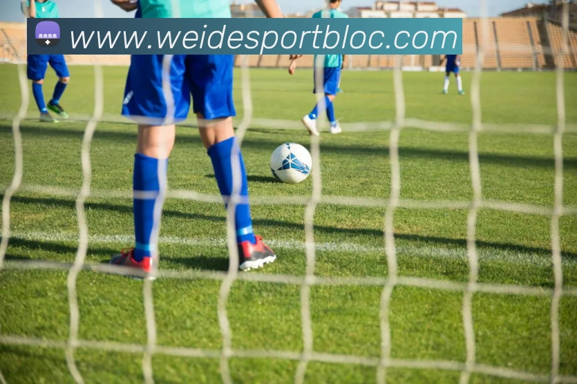 伟德体育APP 高清赛事图